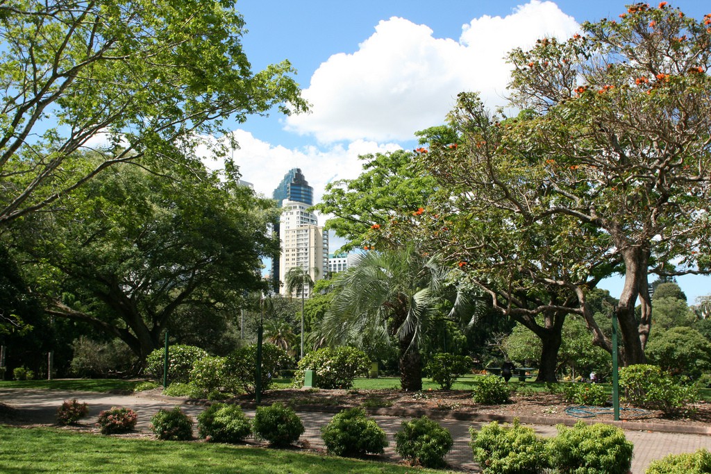 Brisbane City Botanic Gardens - Photo Credit Philip Bouchard