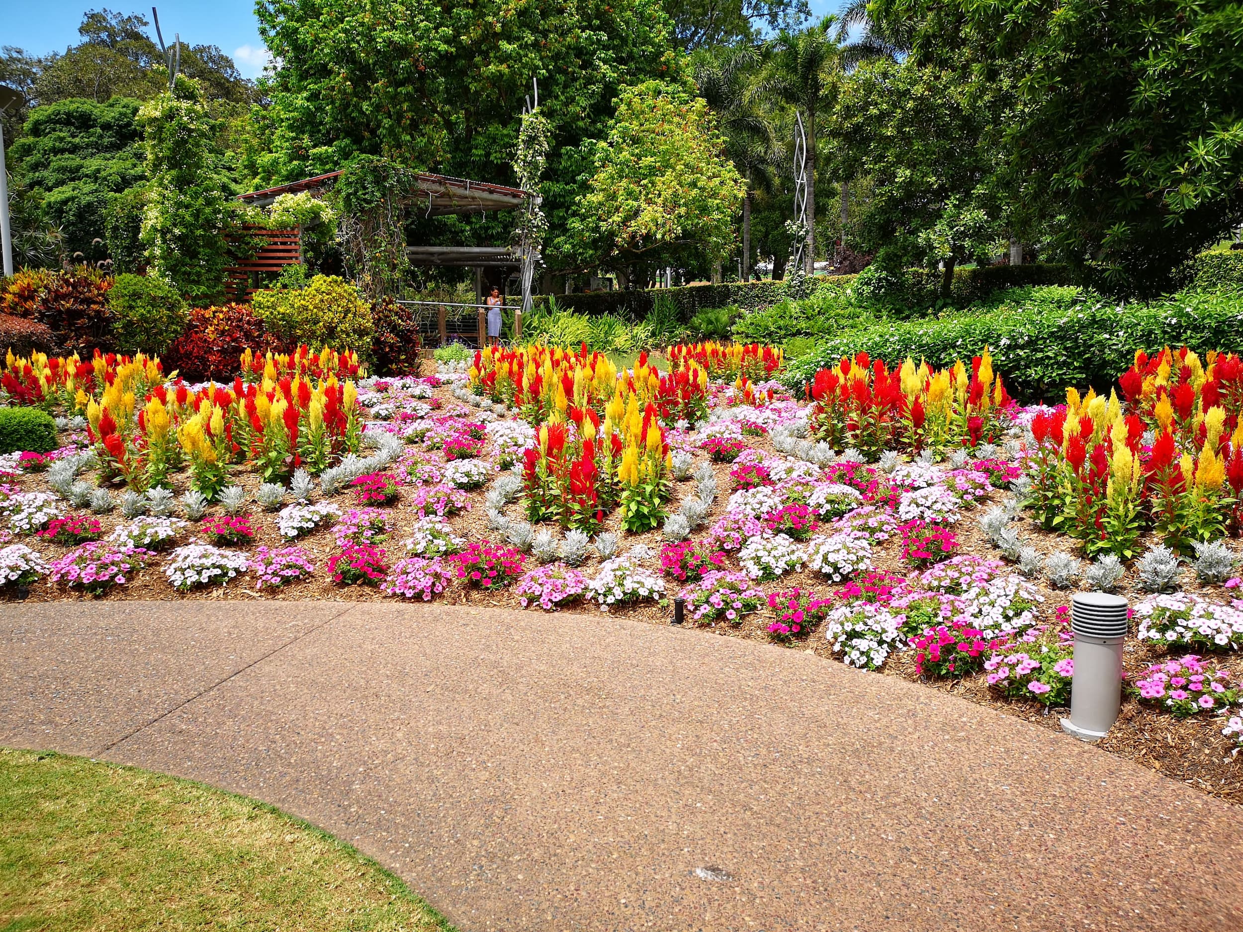 Colourful flowerbeds at Brisbane Botanic Gardens