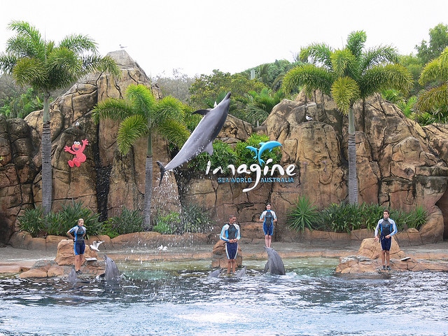 SeaWorld Gold Coast