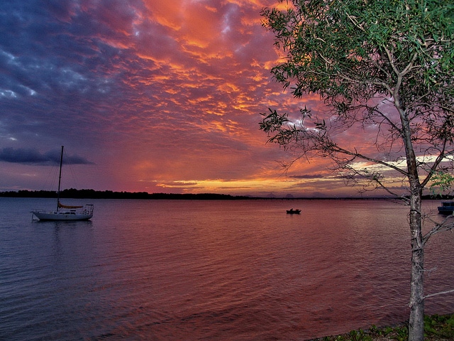 Bribie Island - Photo Credit Bert Knottenbeld