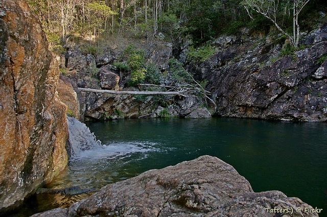 D'Aguilar National Park - Photo Credit Tatters ❀