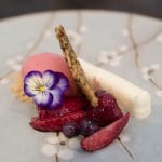 Yoghurt pannacotta and berries - Photo credit Charles Haynes