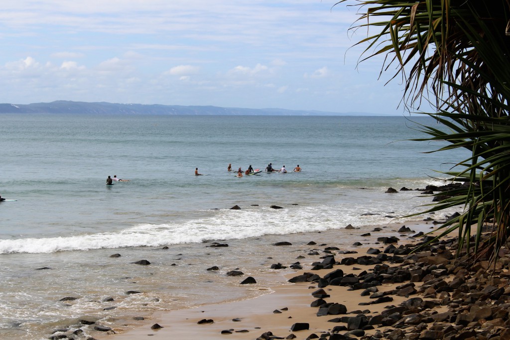 Surfing at Noosa