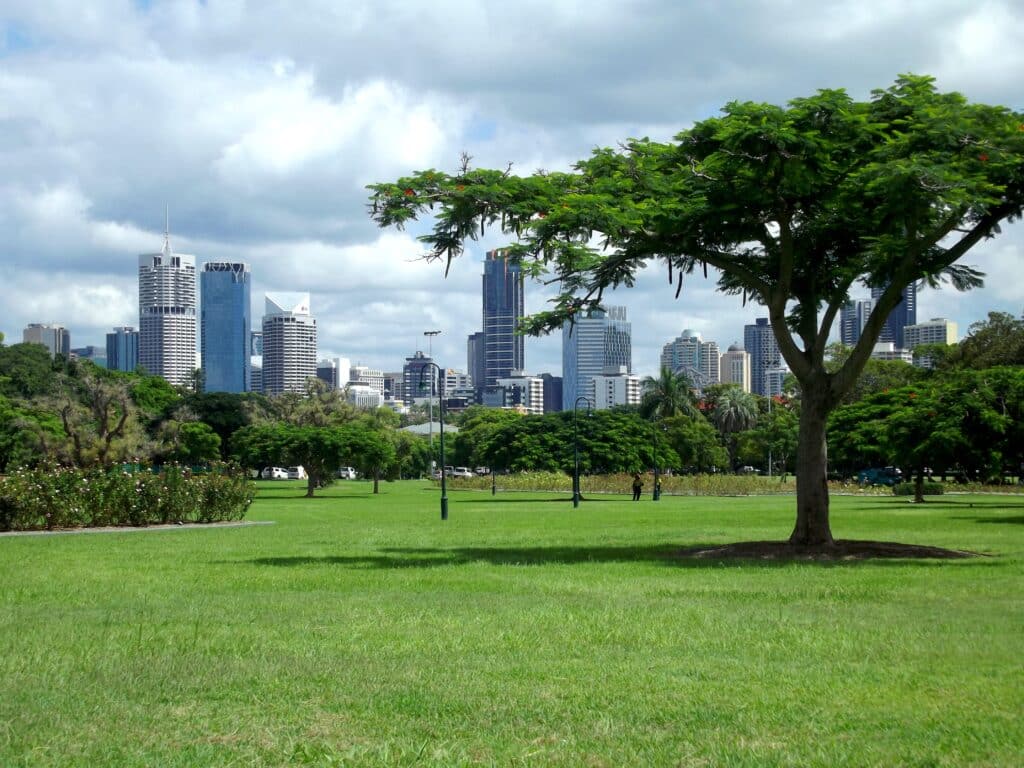 parkland, grass and trees with city in background